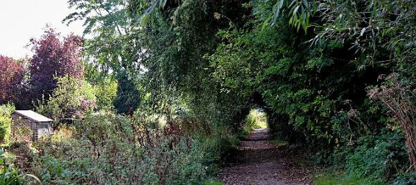 9 The path draws us along.jpg